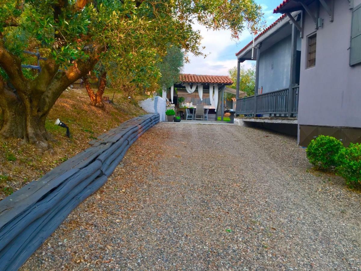 Sea View Villa In Olive Garden Nea Kallikrateia Exterior foto
